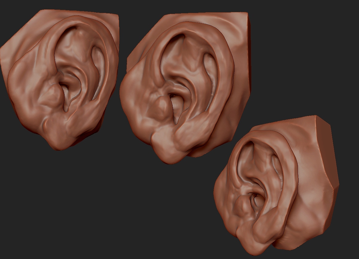 Ear Study.jpg