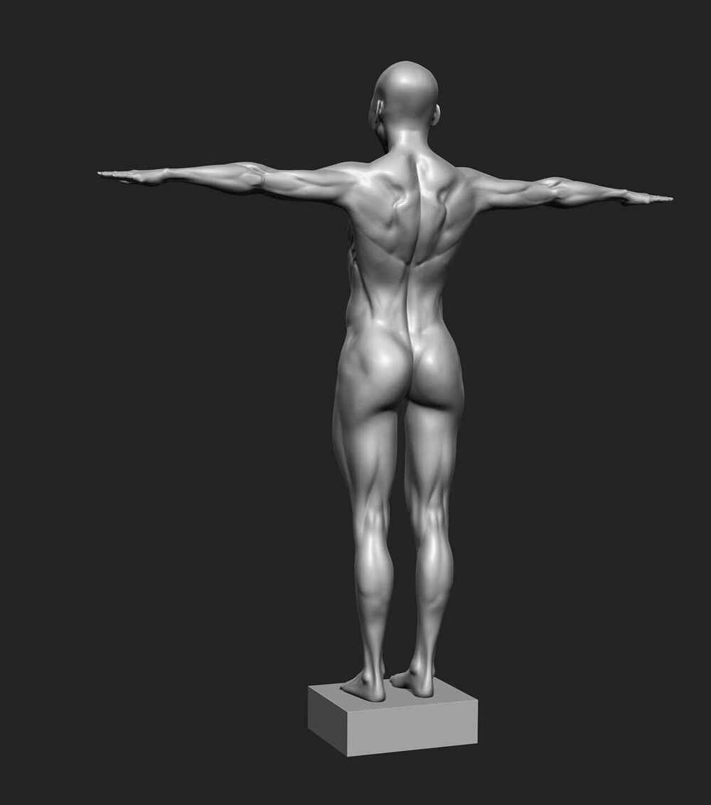 michaela-anatomy done-turn-back