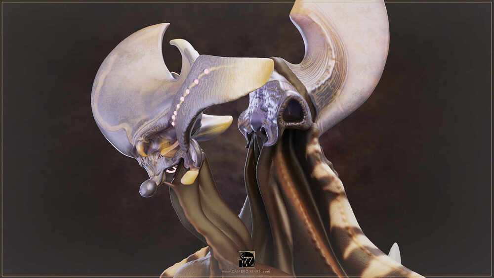 C77-WORS-Sml-InPro_0007_www.CAMERONFARN.com