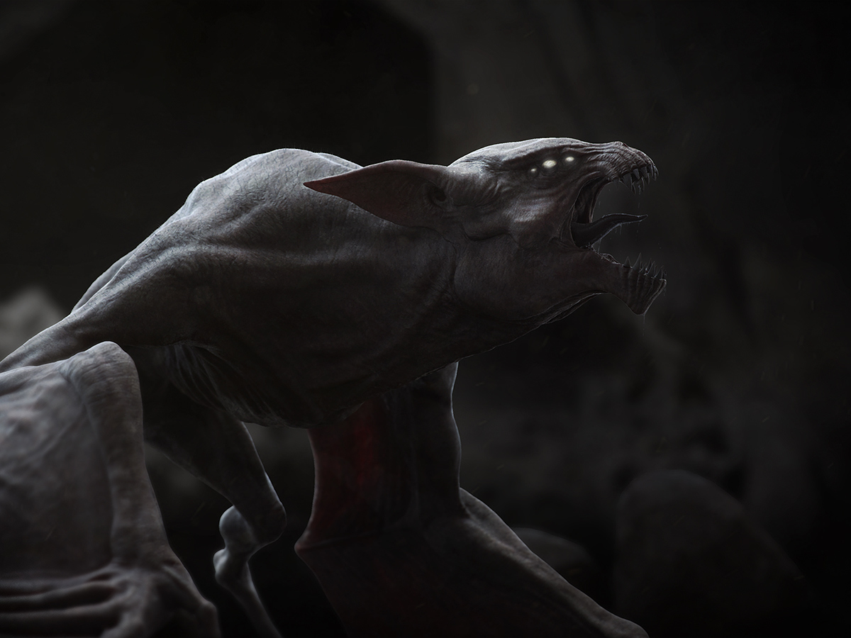bat_pic_small.jpg