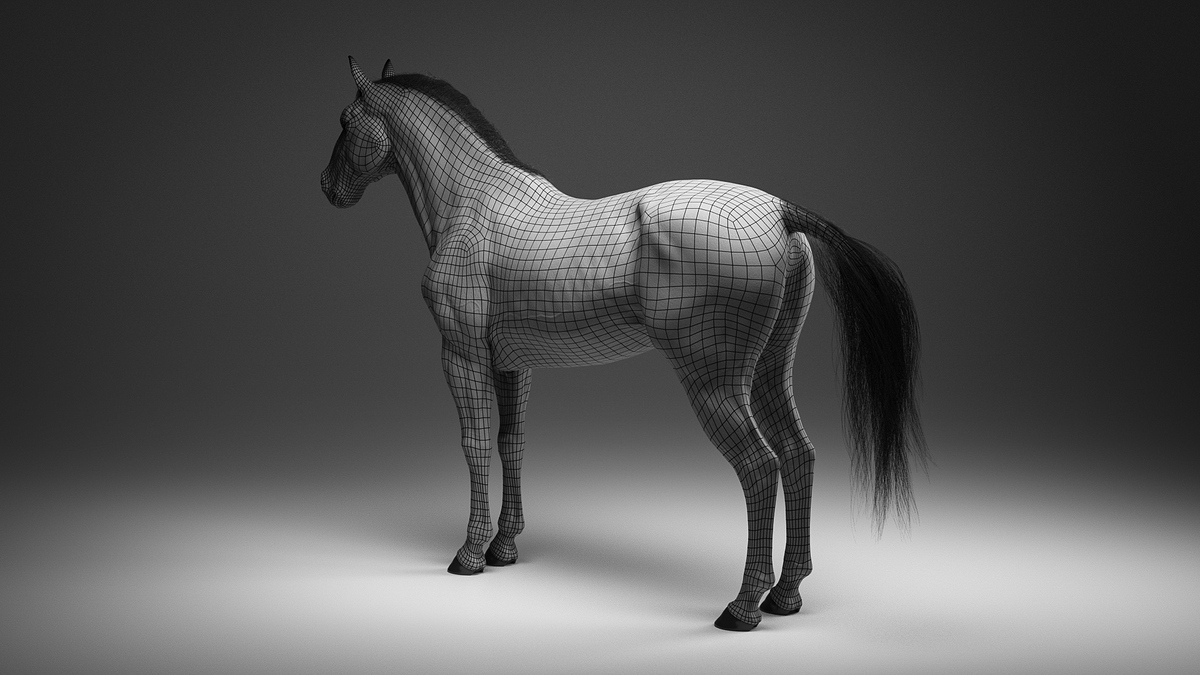 Horse_ (6 of 7)