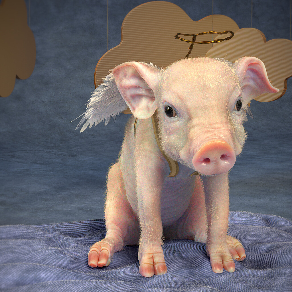 digestive system of piglet