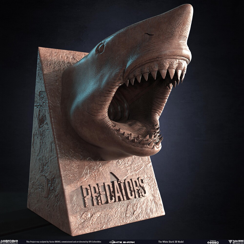 The White Shark Discovery sculpted by Yacine BRINIS 004