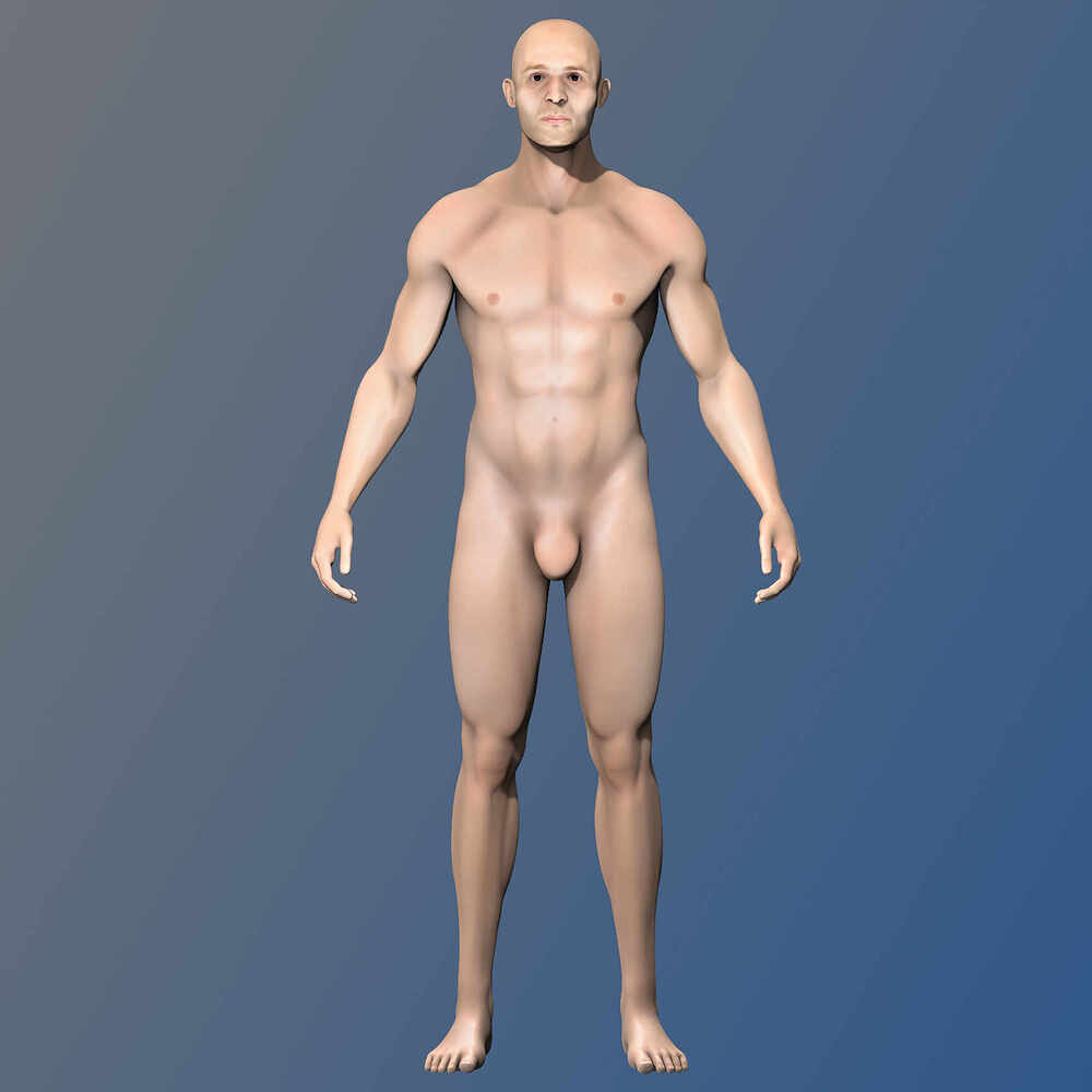 Base_Male_Render_COMPO