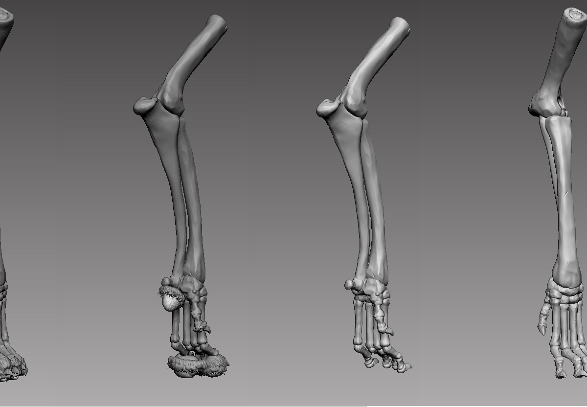 Zbrush.jpg