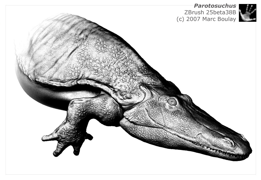 Parotosuchus_04.jpg