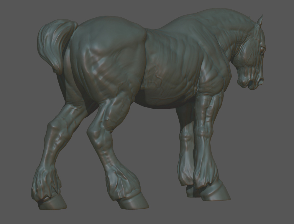 horse3.jpg
