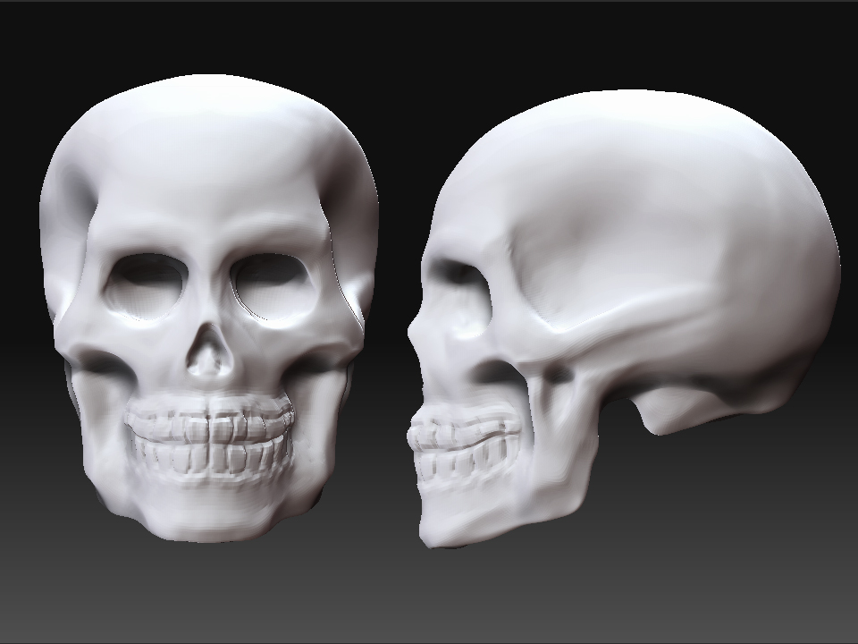 skull_with_ref.jpg