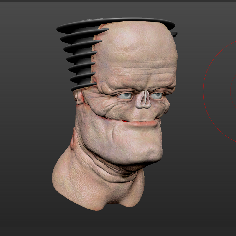 Head_clr