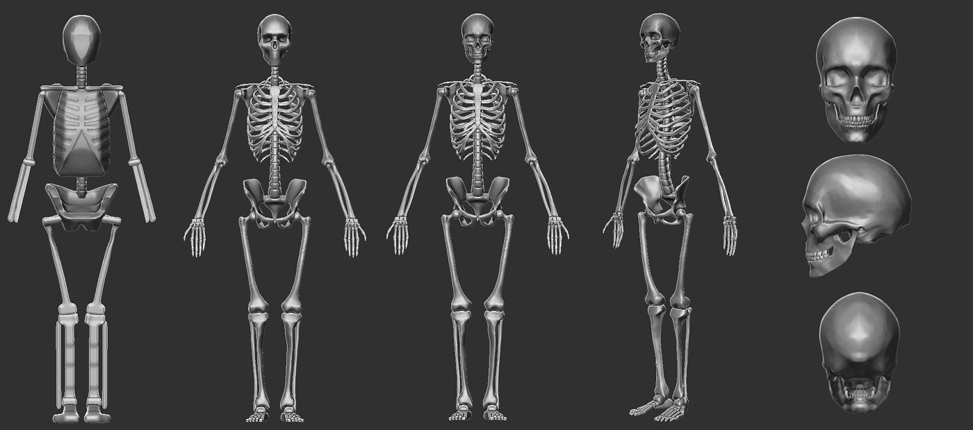 skeleton_daniel.jpg