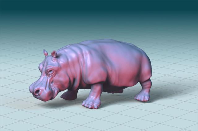 hippo skin test basic 3.jpg