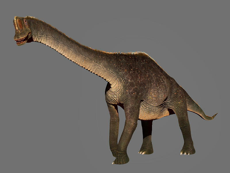 europosaurus.jpg