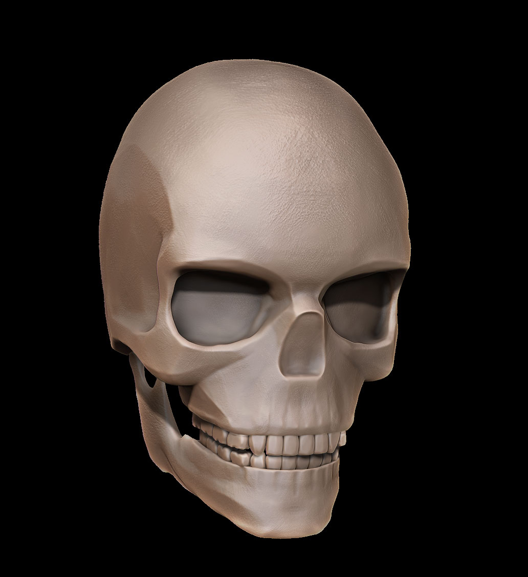 skull-final.jpg