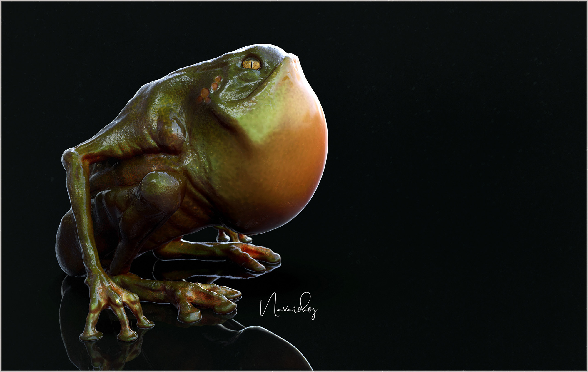 Frog3.jpg
