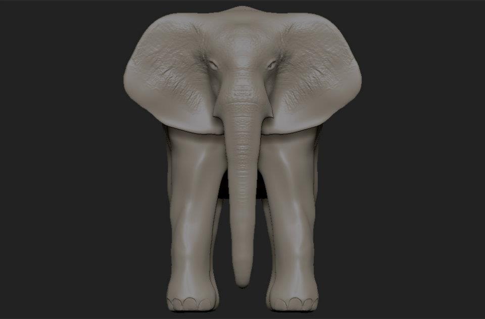 Elephant_texture.jpg
