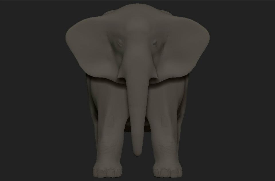 elephant_feet.jpg