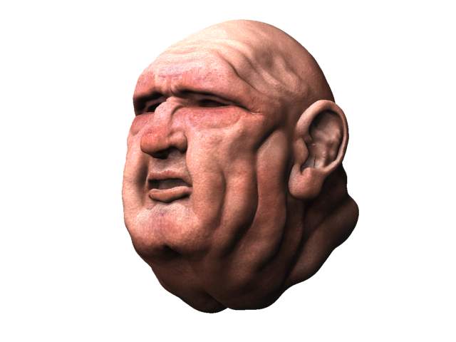 ZBrushCentral head - fat