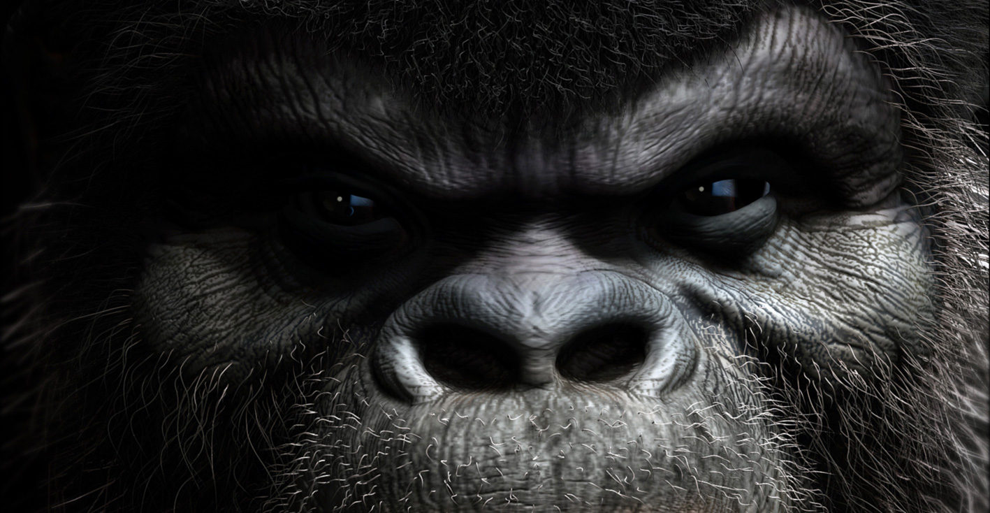 gorilla-close-uplow.jpg