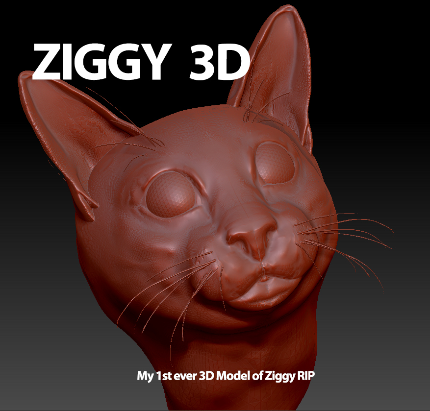 Ziggy_3D_sculptris.jpg