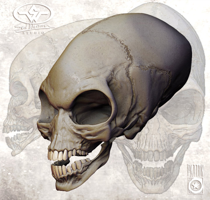Indiana Jones Crystal Skulls - ZBrushCentral