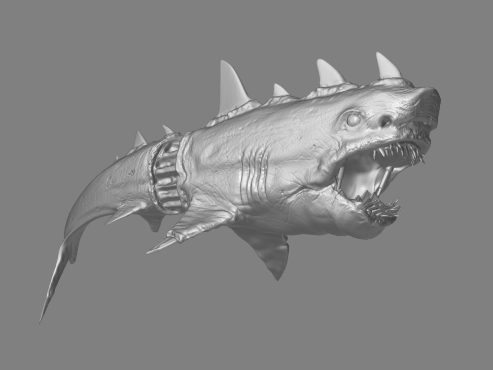 Shark3.jpg