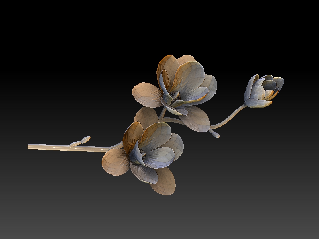 twig and flower2.jpg