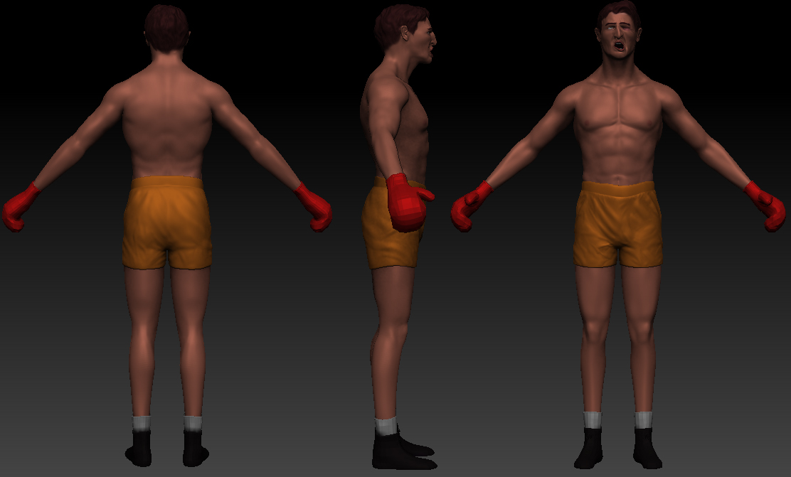 Boxer.jpg