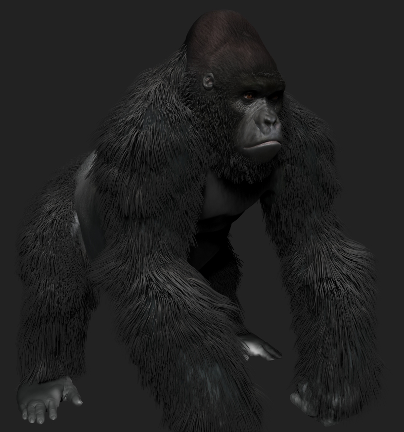 Gorilla3.jpg