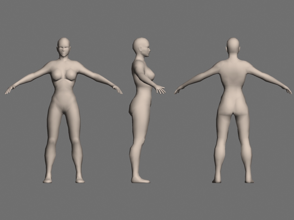 female proportions.jpg