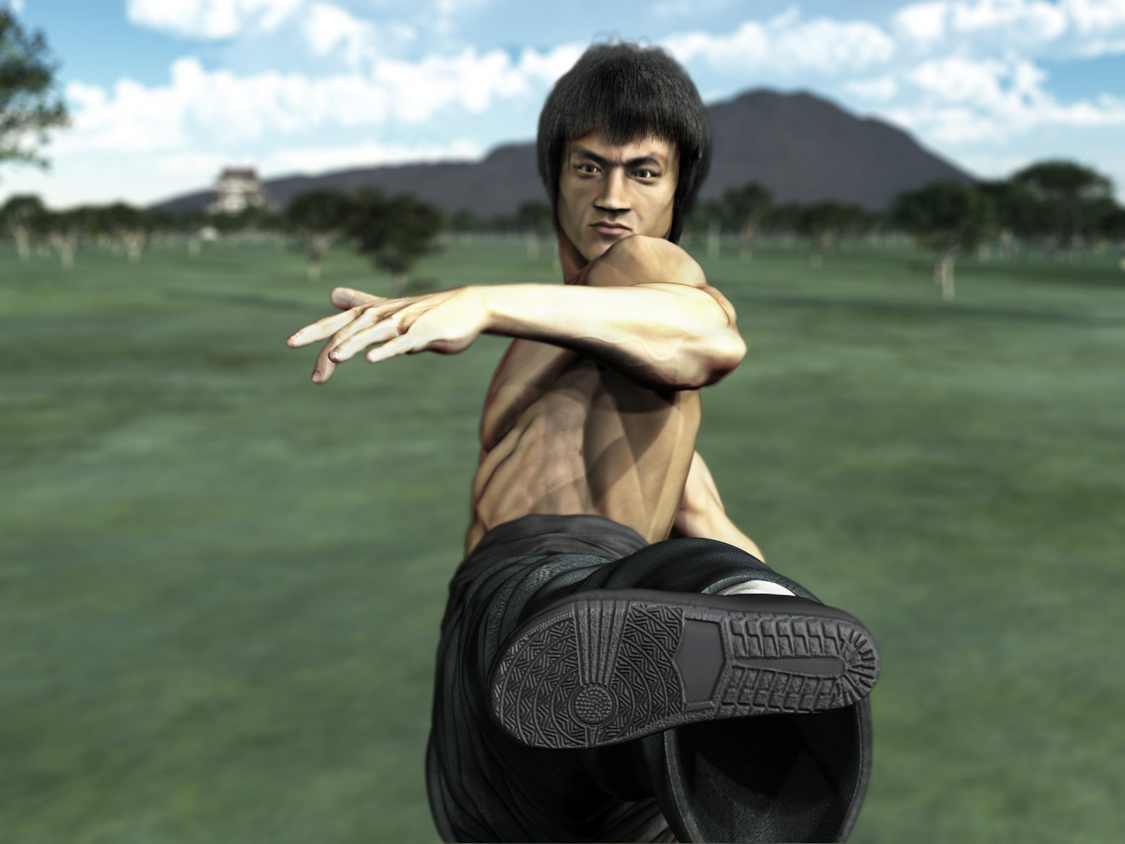 render chute bruce lee.jpg