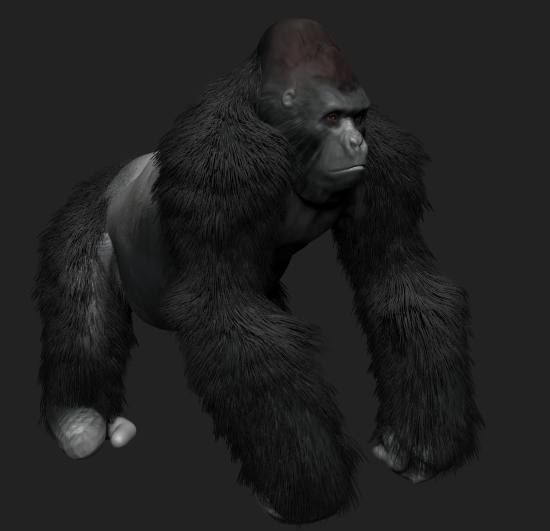 Gorilla2.jpg
