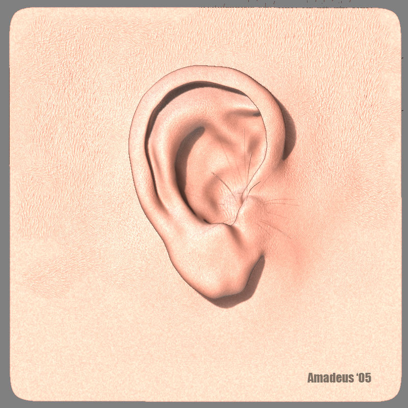 ear2sm.jpg