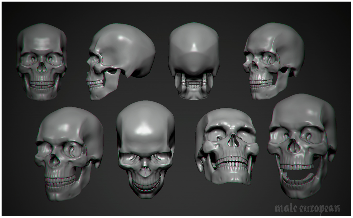 Human-Male-European-Skull_ZB.jpg