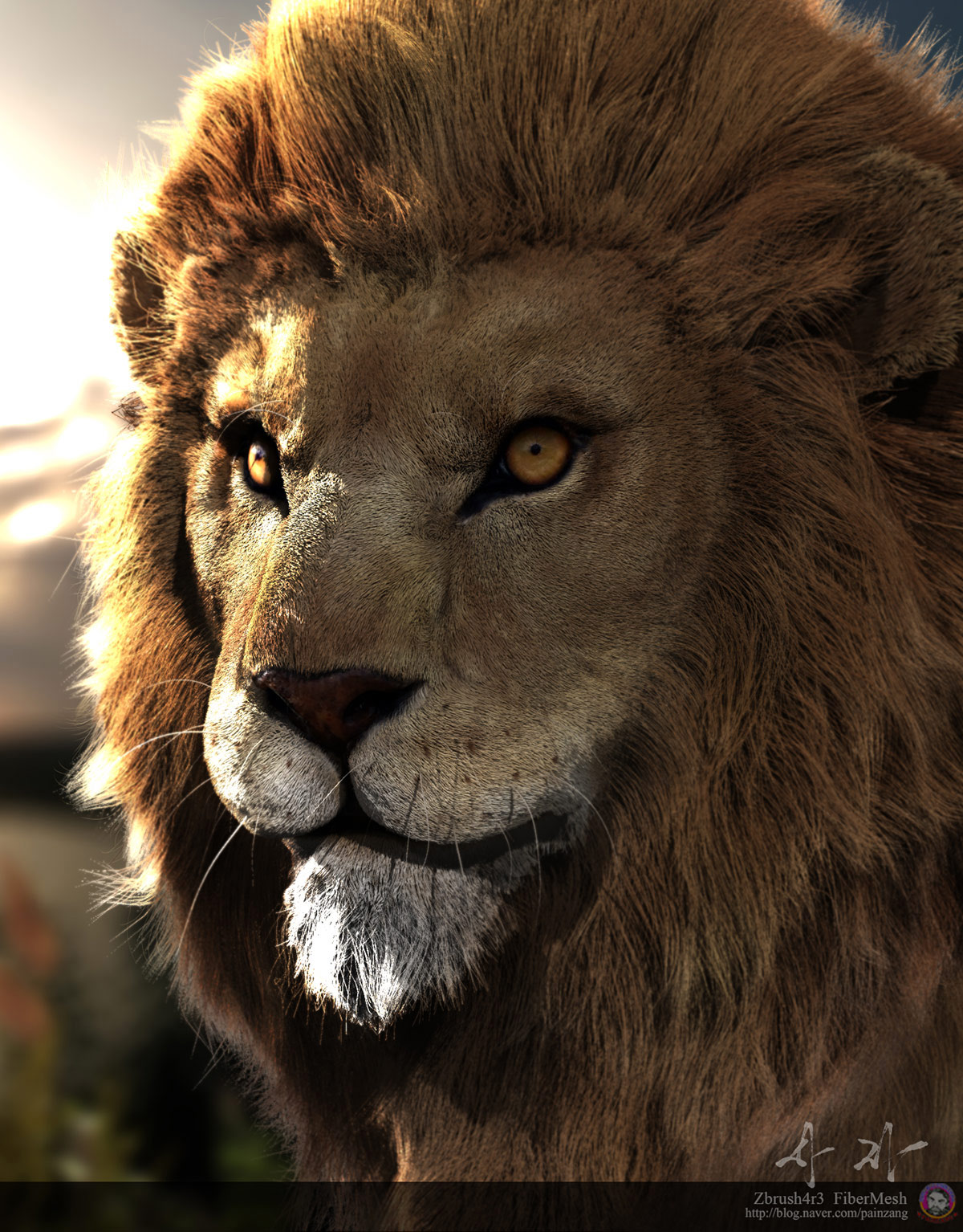 lion12.jpg
