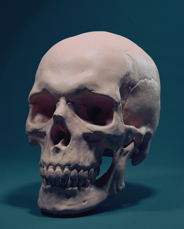 skull zbr1.jpg