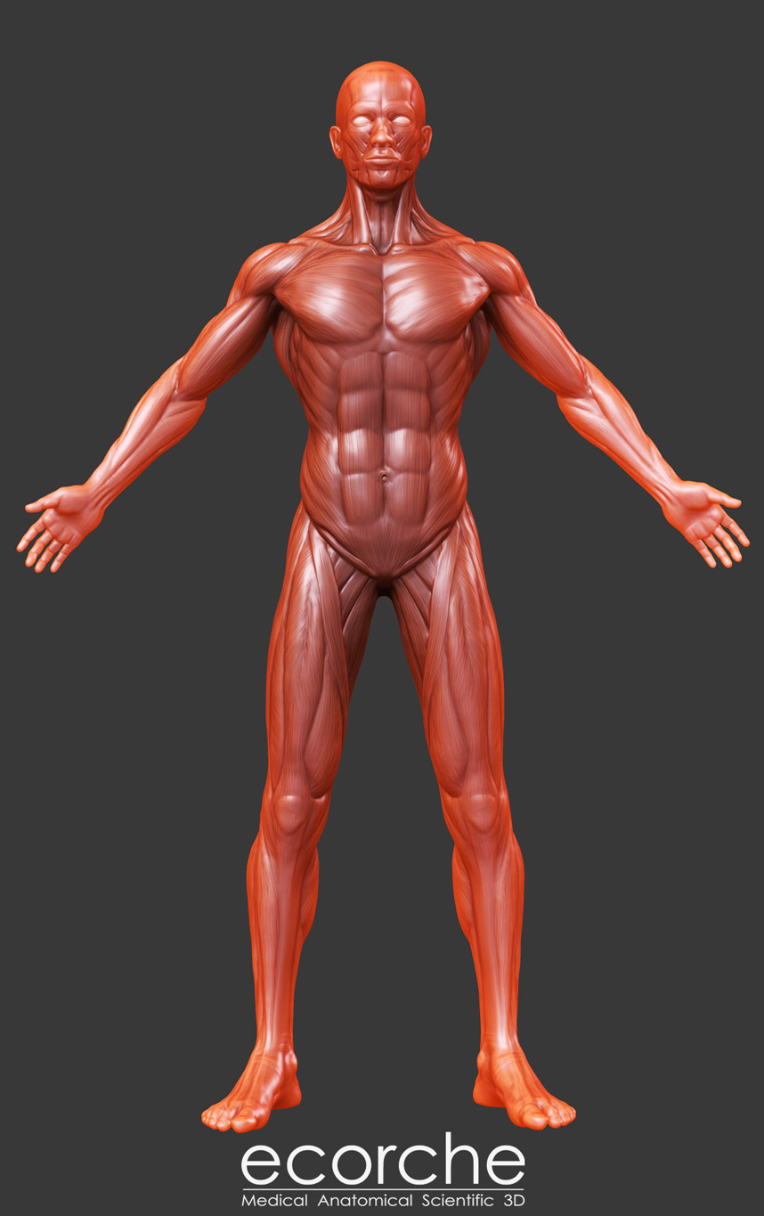 front.jpg