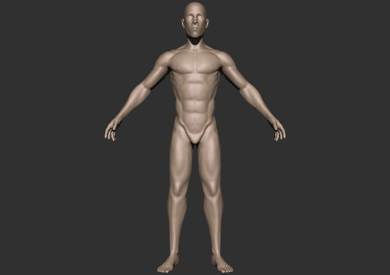 male anatomy_front.jpg