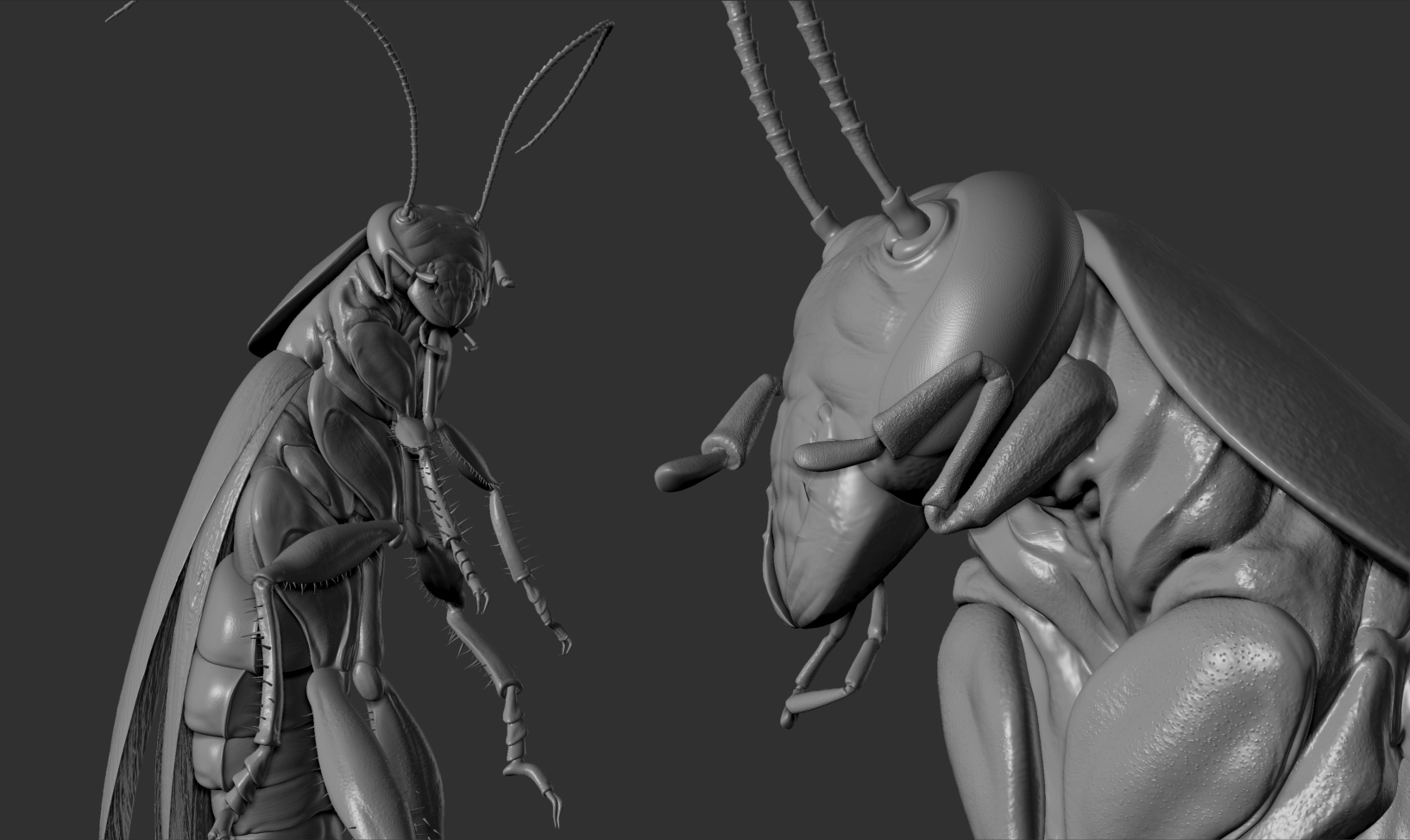 Cockroach-sculpture-04.jpg