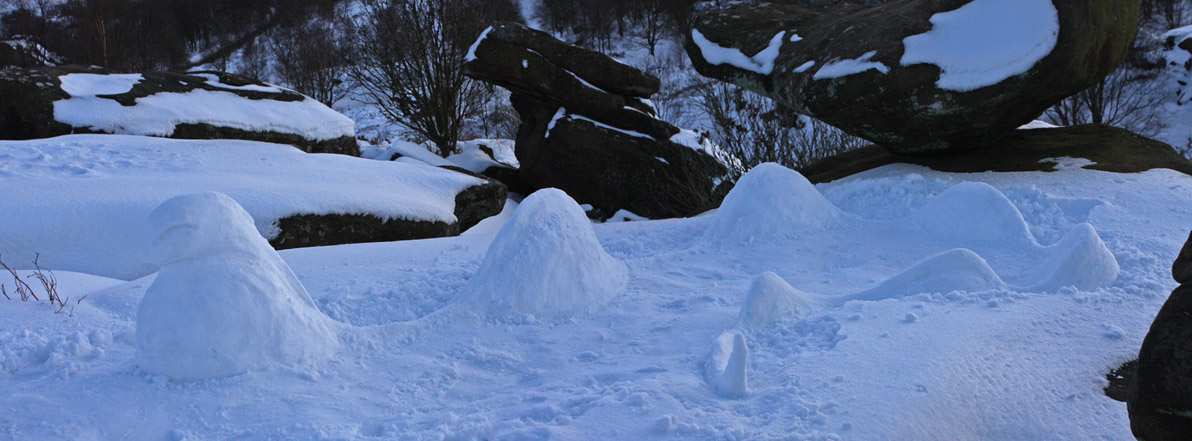 SnowSculpture01Small.jpg