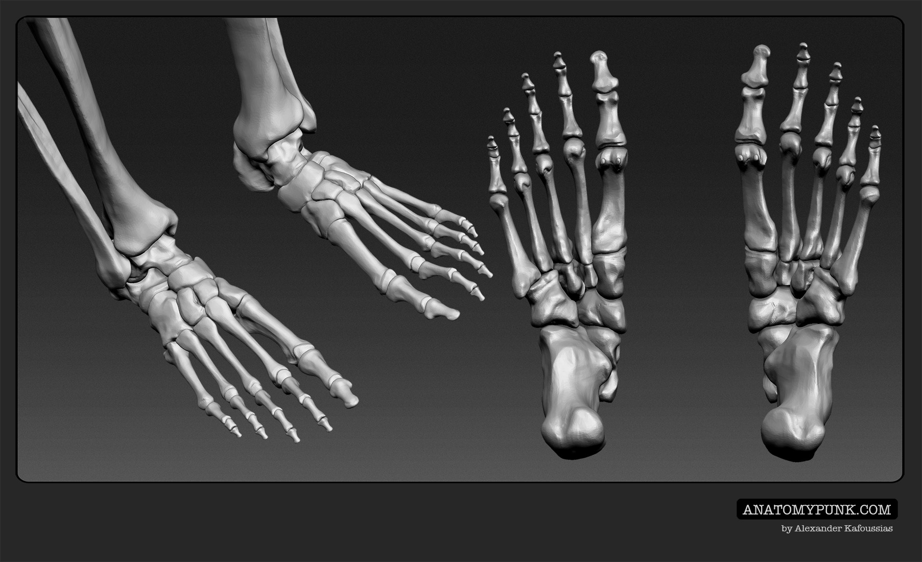 Skeleton7_anatomypunk.jpeg