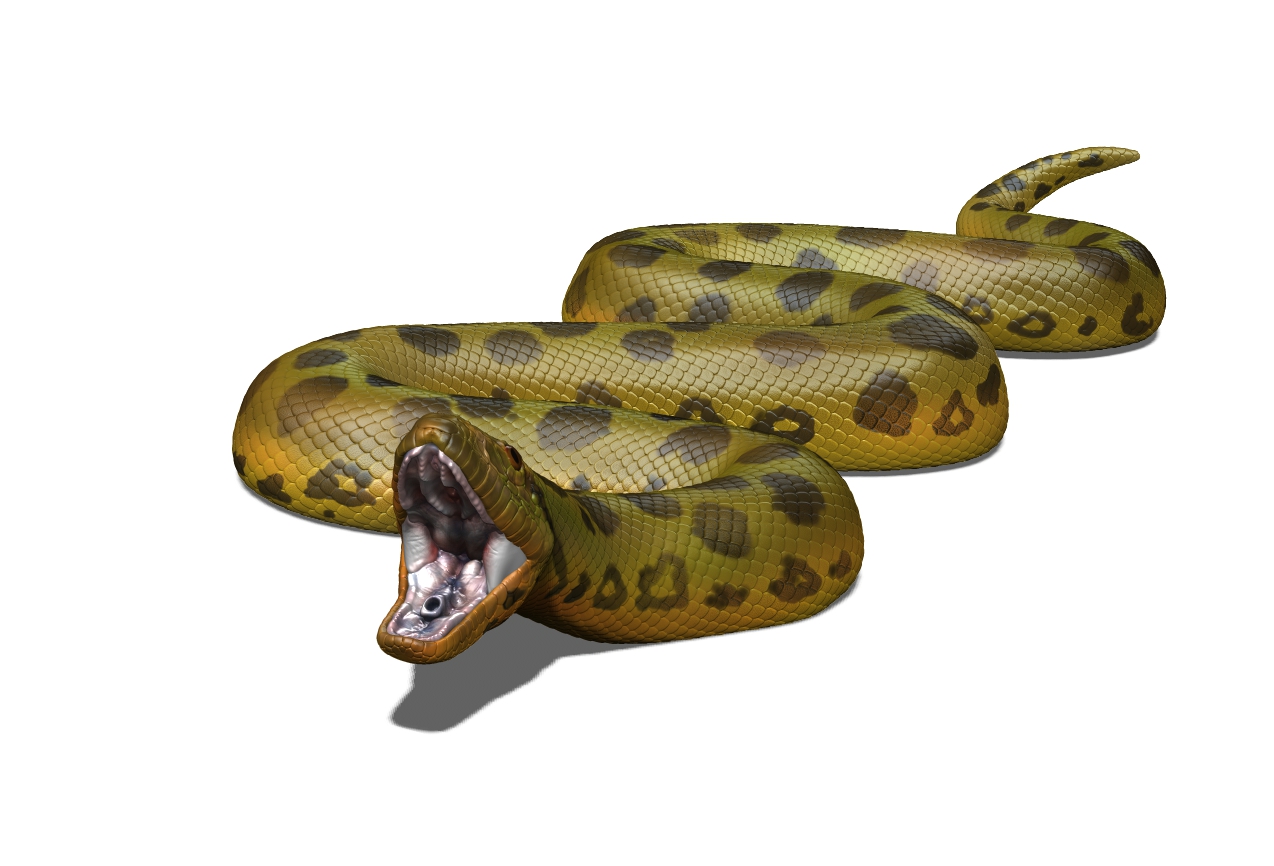 snake paint wip.jpg