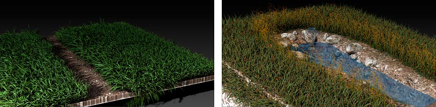 foregroung-grass.jpg