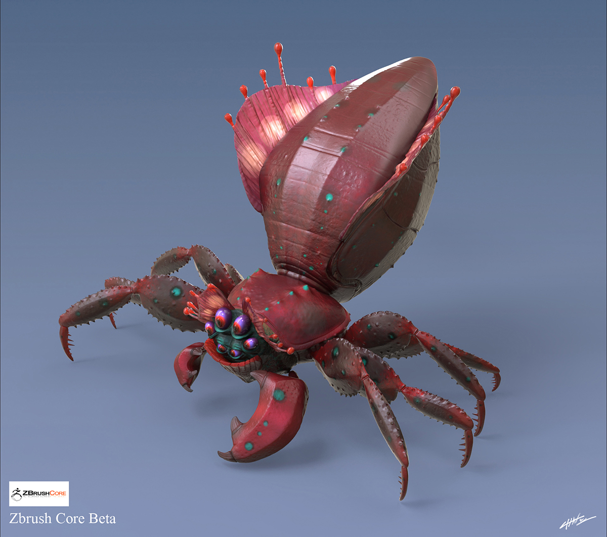 crab spider ortho 3.jpg