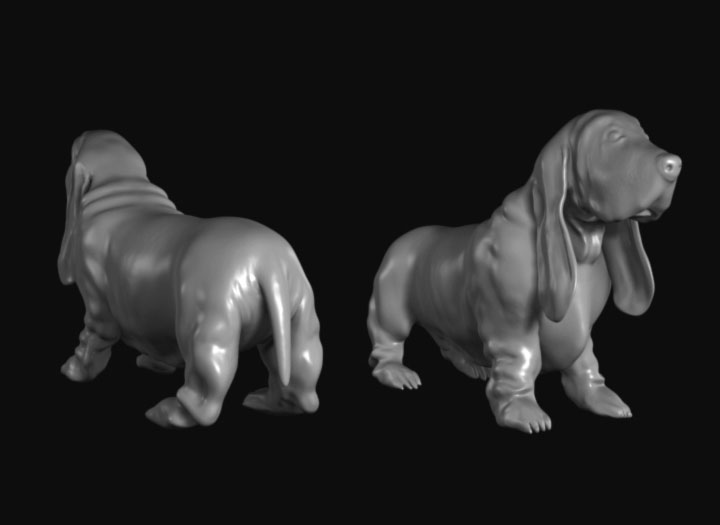 basset hound and kitten ZBrushCentral