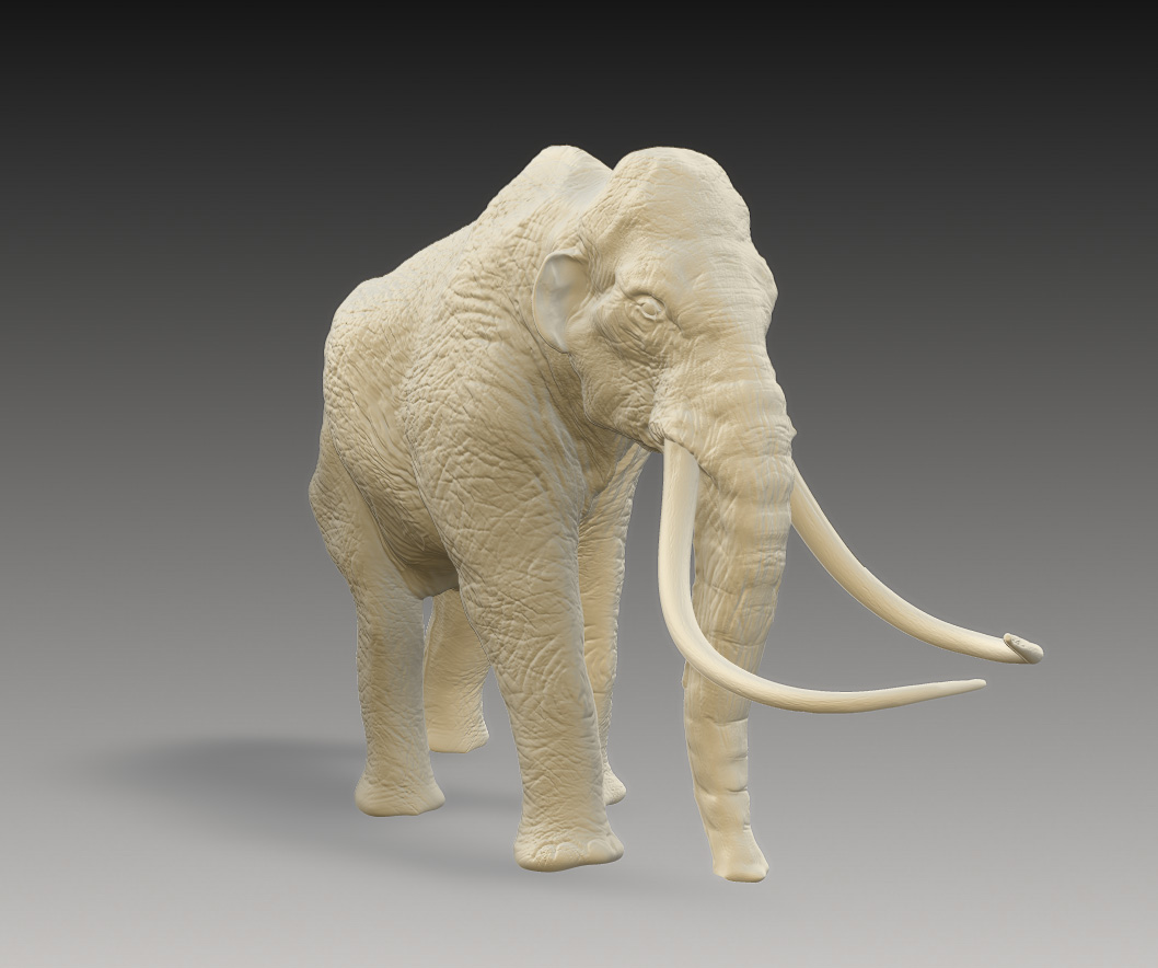 mammoth ivory 01.jpg