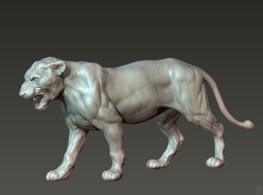 1_lion1.jpg