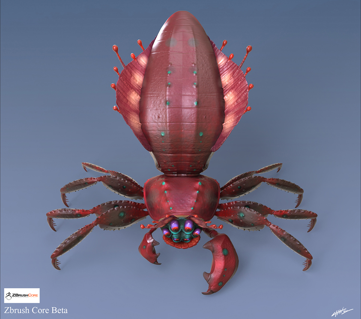 crab spider ortho 2.jpg
