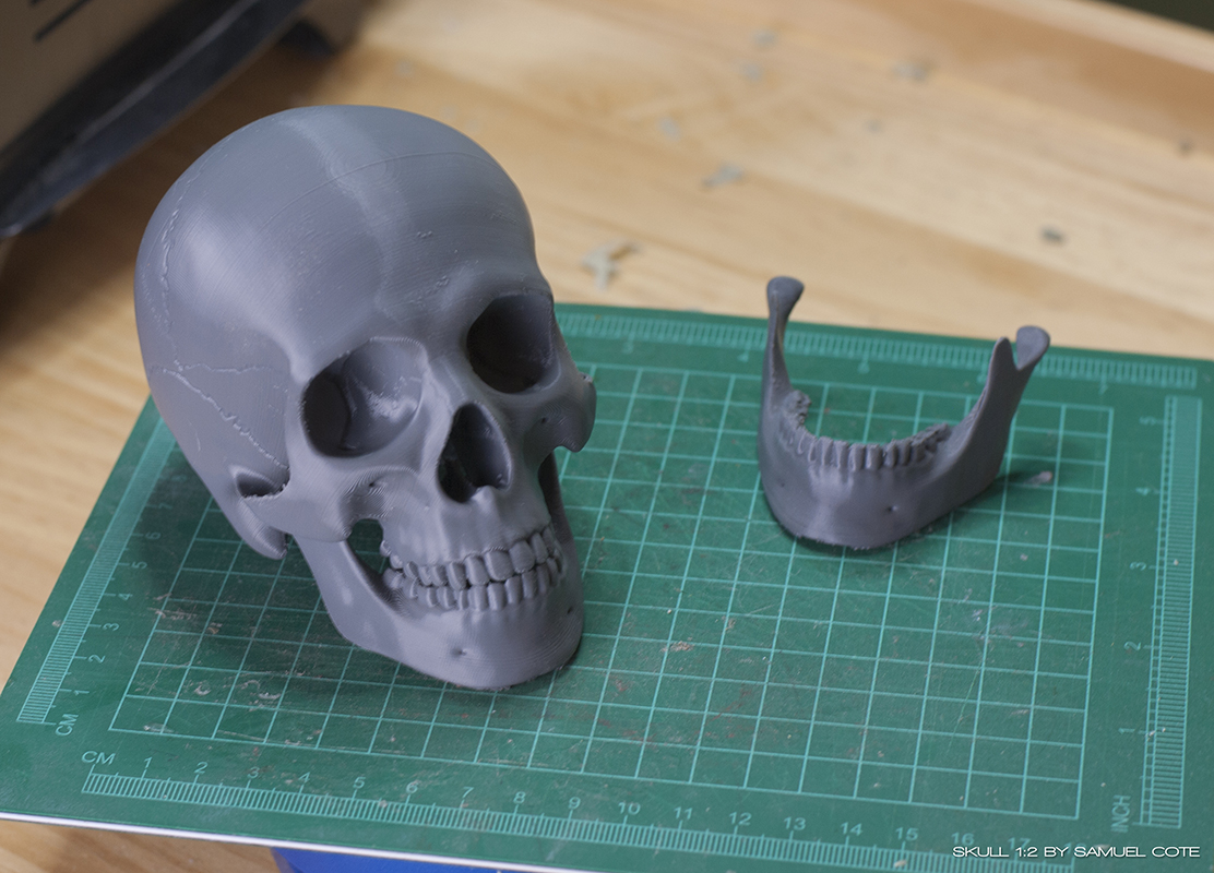 lrg-3dprint-skull.jpg
