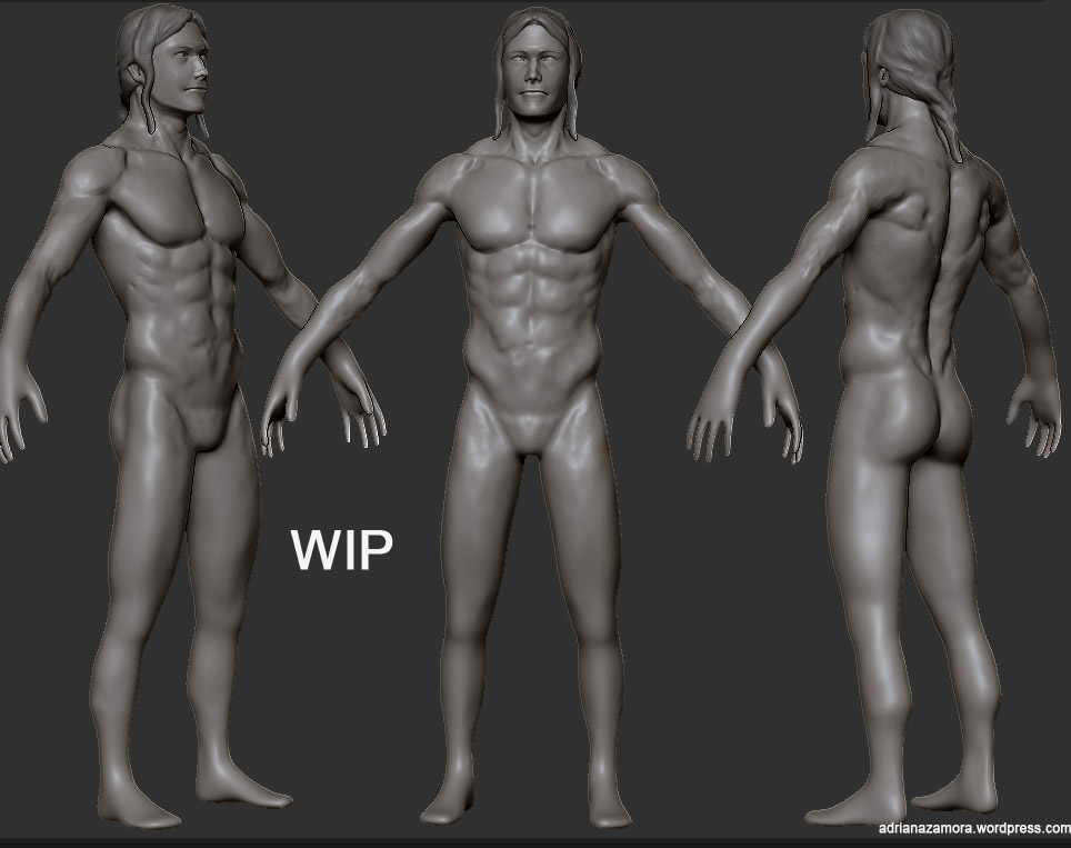WIP_1.jpg
