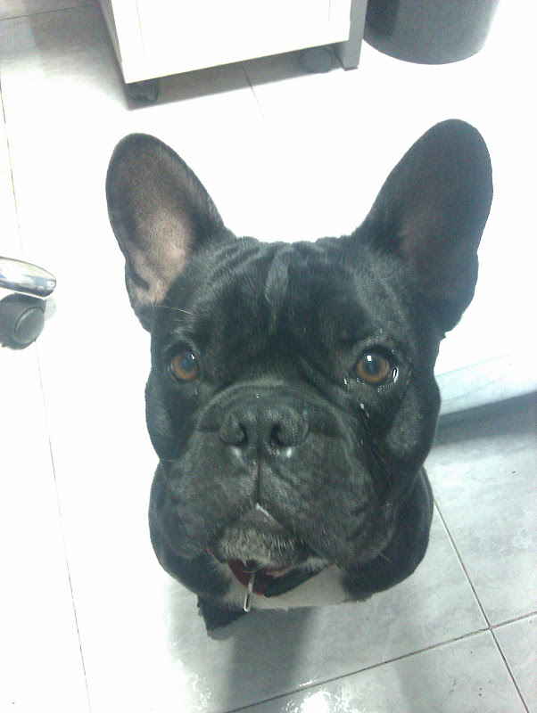 IMAG0242.jpg